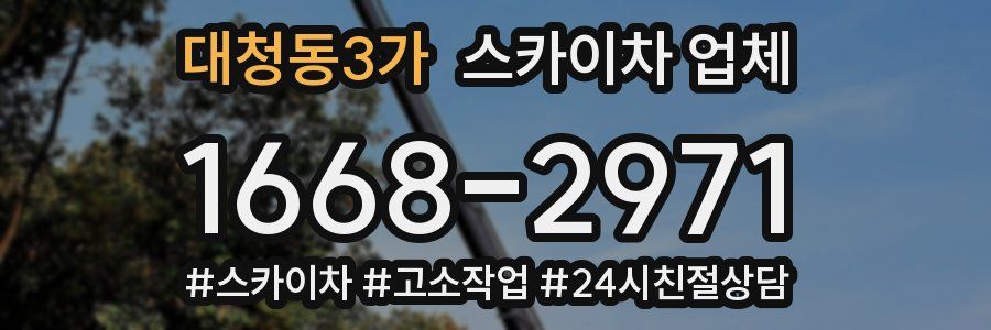 대청동3가 스카이차 업체