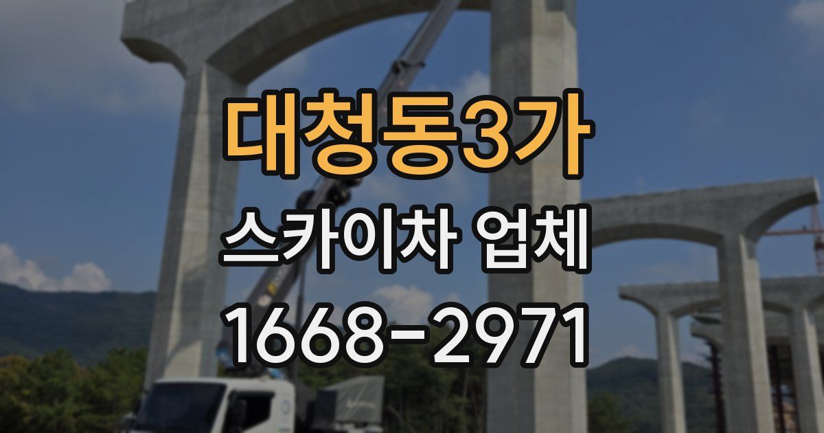 대청동3가 스카이차 업체