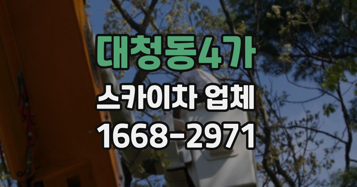 대청동4가 스카이차 업체