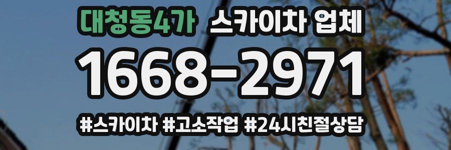 대청동4가 스카이차 업체