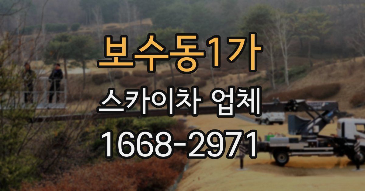 보수동1가 스카이차 업체