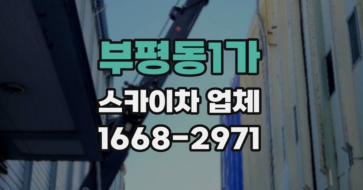 부평동1가 스카이차 업체