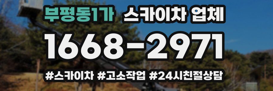 부평동1가 스카이차 업체