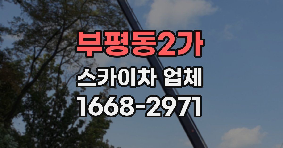 부평동2가 스카이차 업체