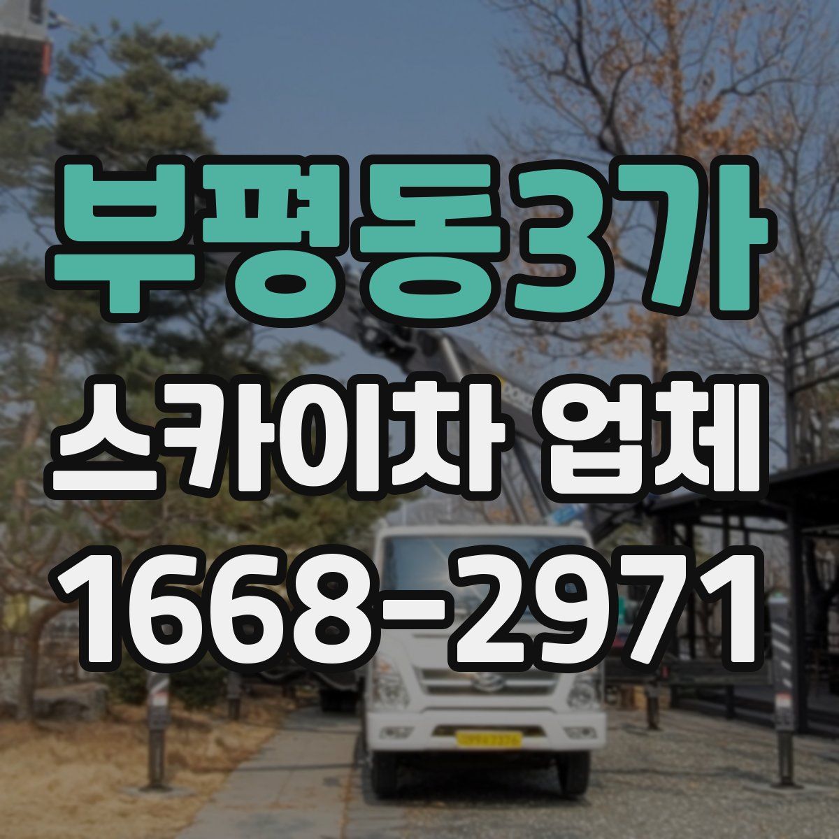 부평동3가 스카이차 업체