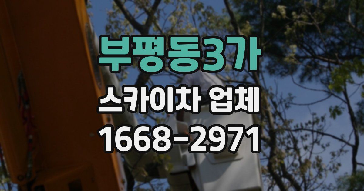 부평동3가 스카이차 업체