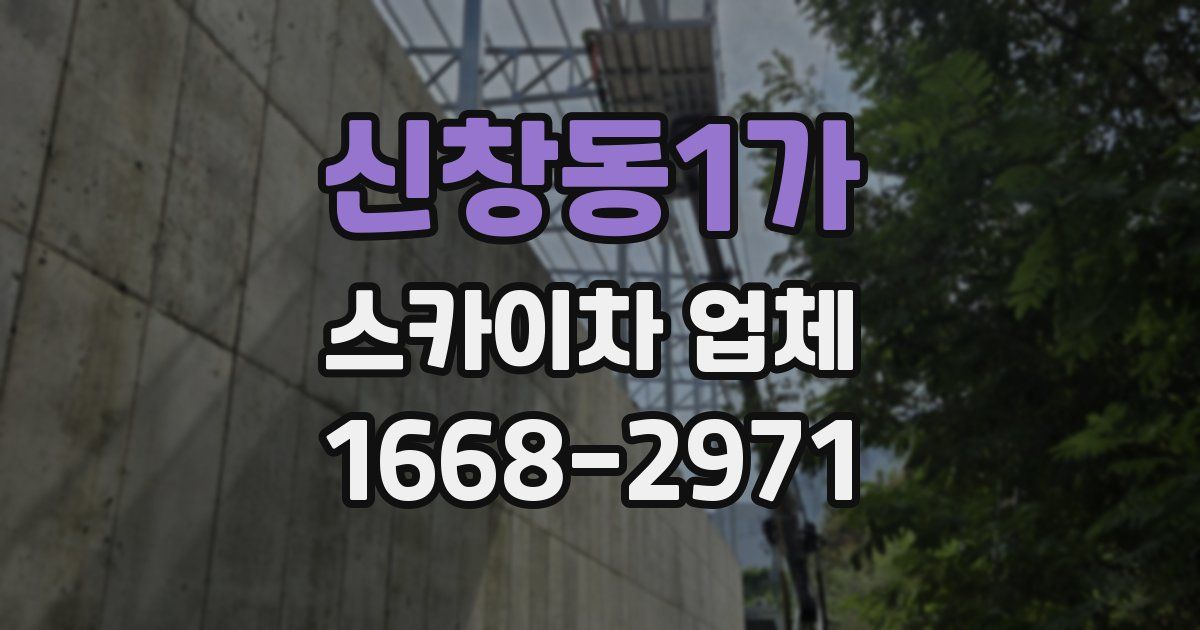 신창동1가 스카이차 업체