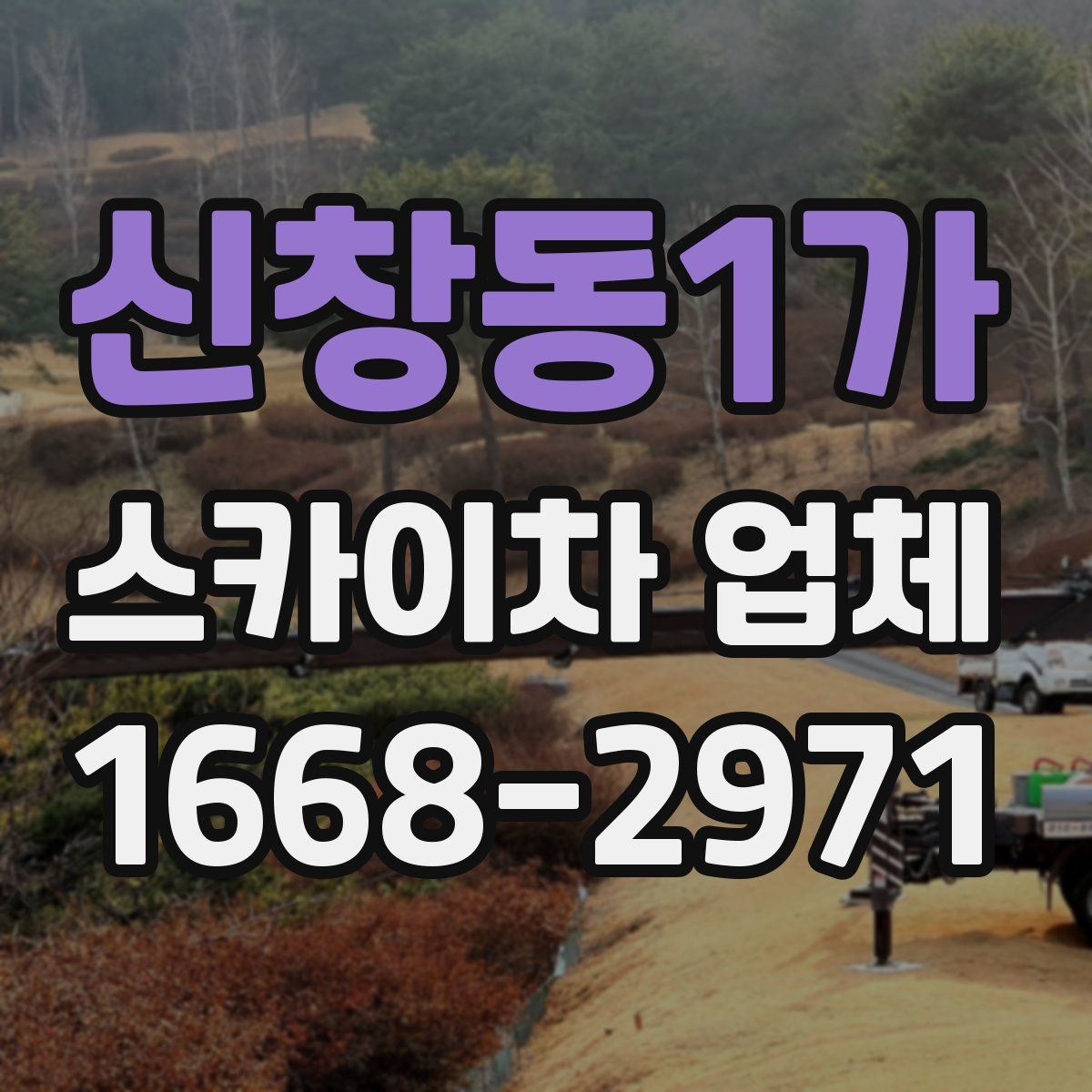 신창동1가 스카이차 업체