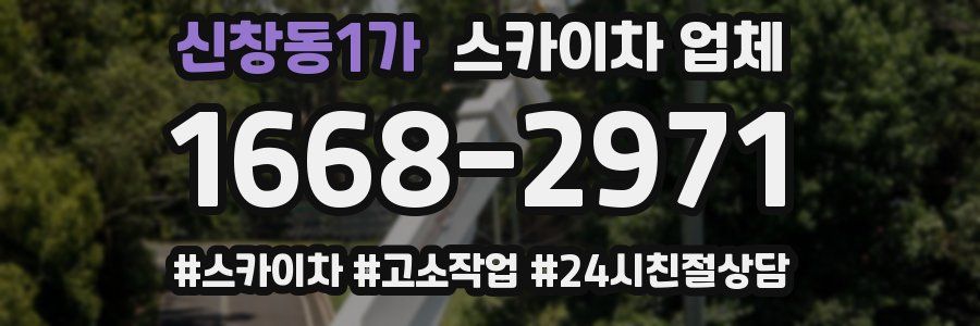 신창동1가 스카이차 업체