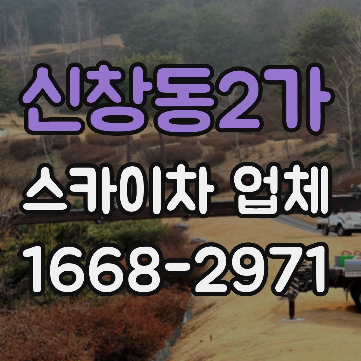 신창동2가 스카이차 업체