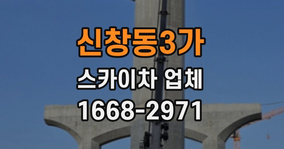 신창동3가 스카이차 업체