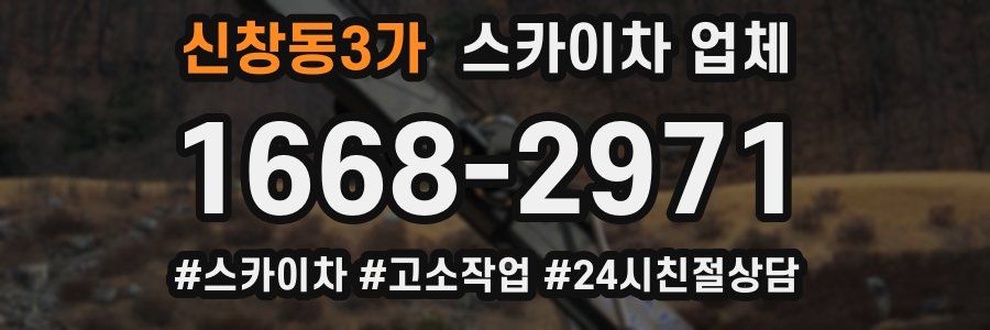 신창동3가 스카이차 업체