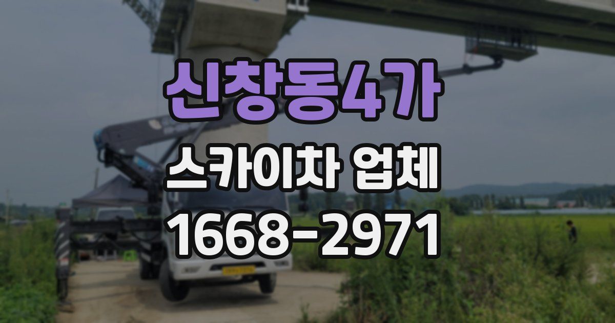 신창동4가 스카이차 업체