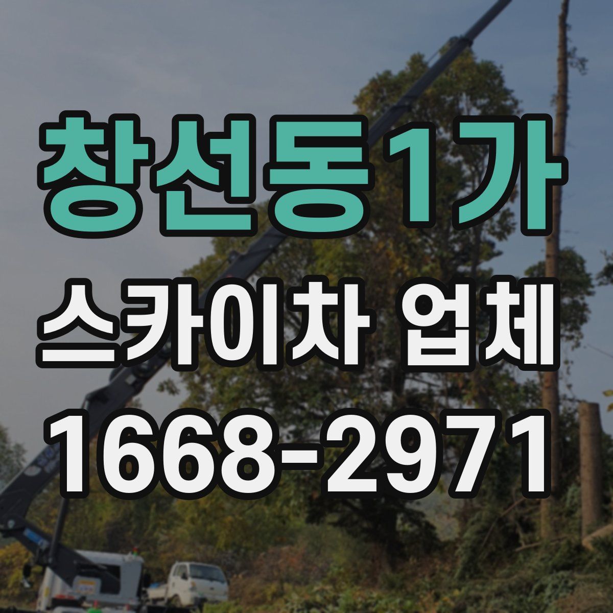 창선동1가 스카이차 업체