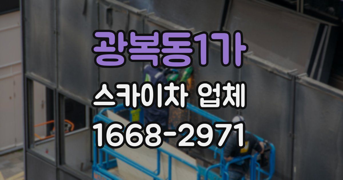 광복동1가 스카이차 업체