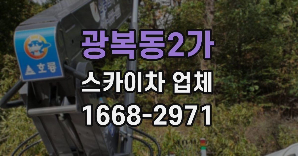 광복동2가 스카이차 업체