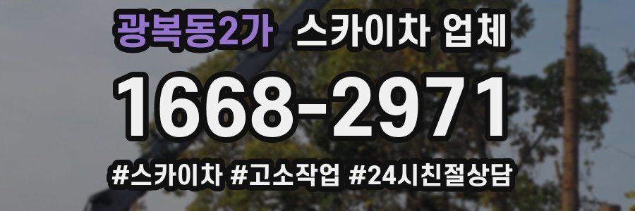 광복동2가 스카이차 업체