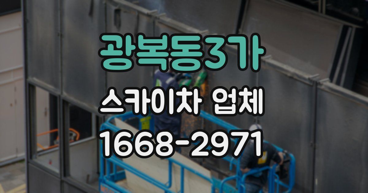 광복동3가 스카이차 업체