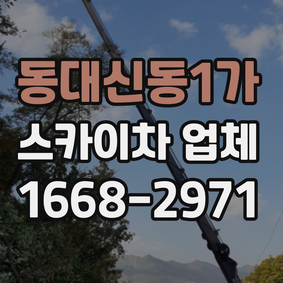 동대신동1가 스카이차 업체