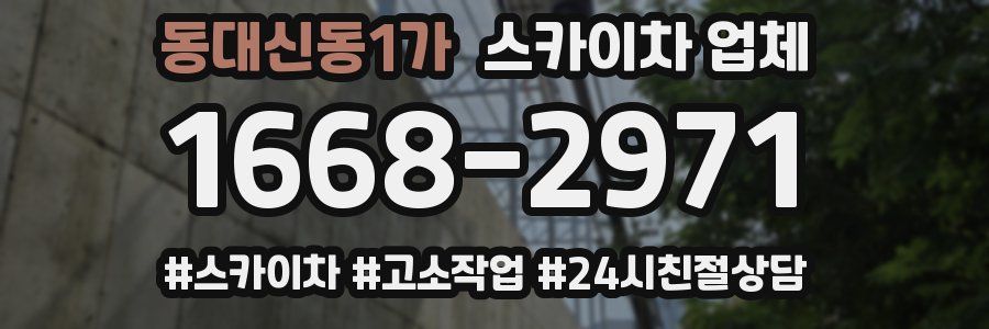 동대신동1가 스카이차 업체