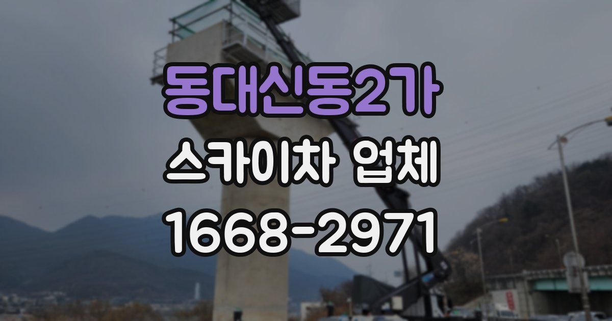 동대신동2가 스카이차 업체