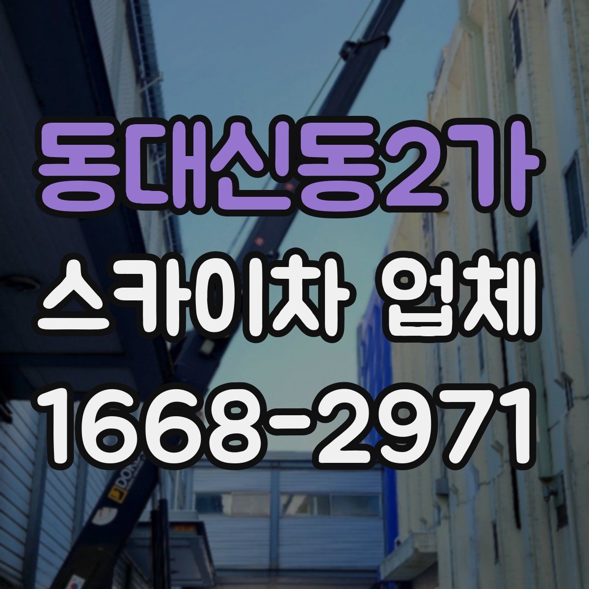 동대신동2가 스카이차 업체