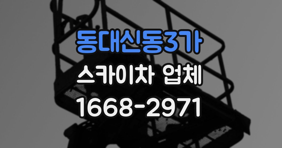 동대신동3가 스카이차 업체