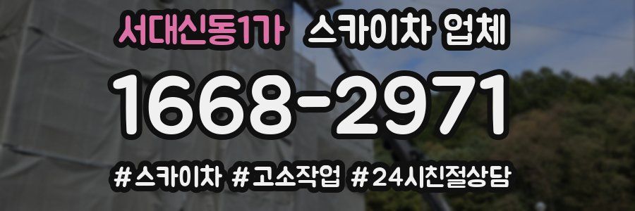 서대신동1가 스카이차 업체