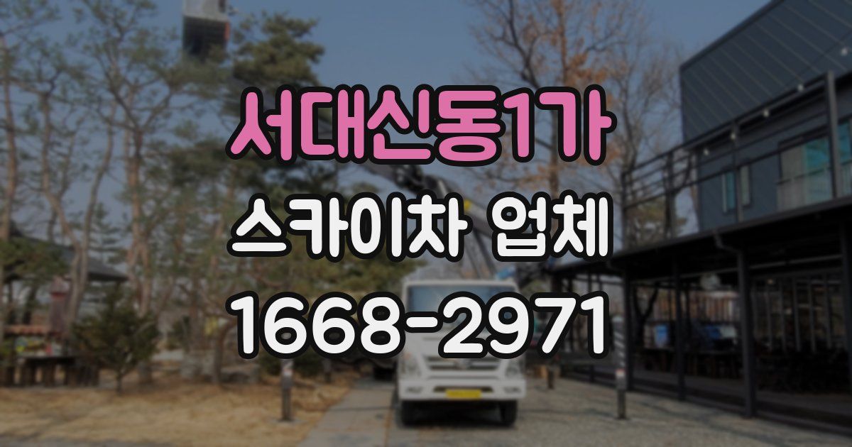 서대신동1가 스카이차 업체