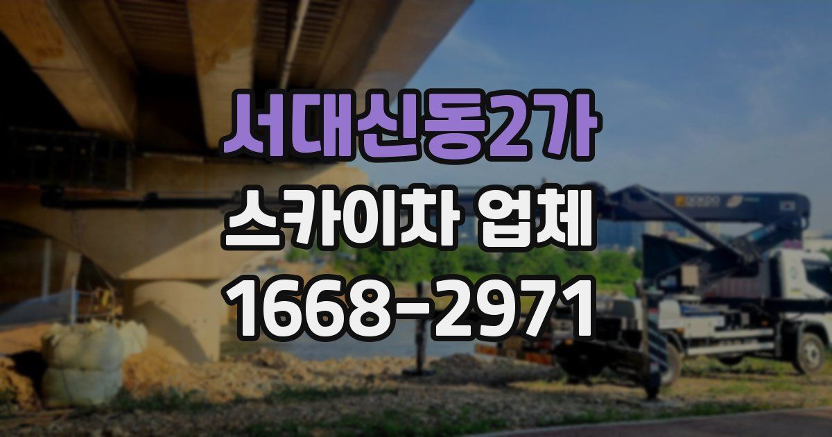 서대신동2가 스카이차 업체