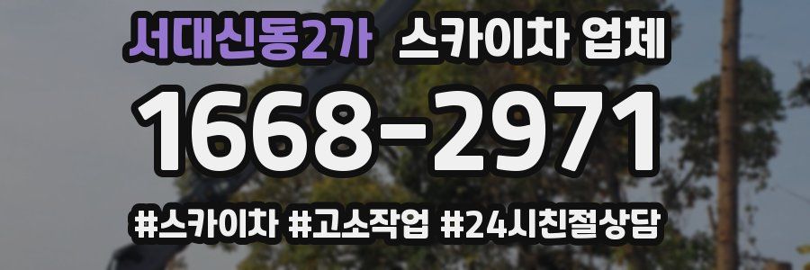 서대신동2가 스카이차 업체