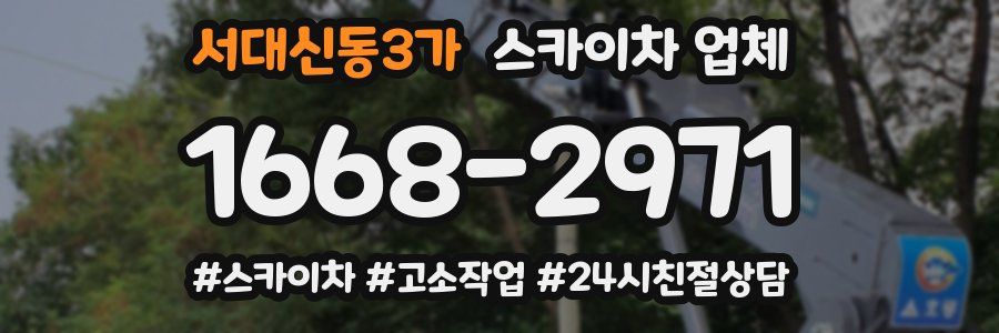 서대신동3가 스카이차 업체