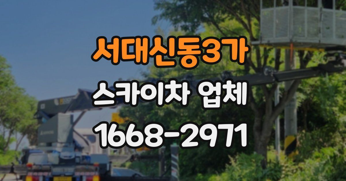서대신동3가 스카이차 업체