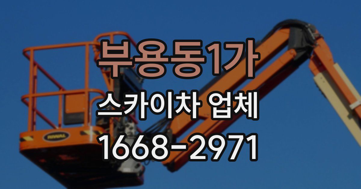 부용동1가 스카이차 업체