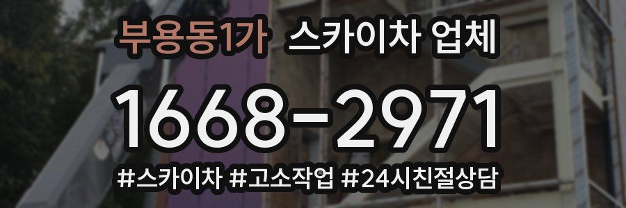 부용동1가 스카이차 업체
