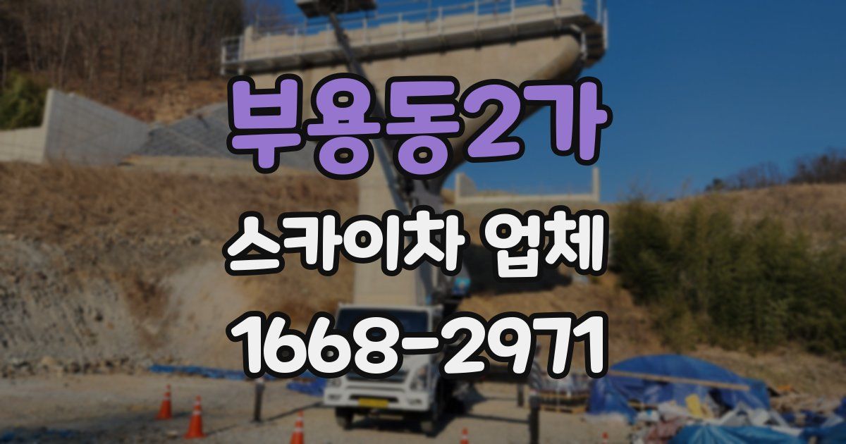 부용동2가 스카이차 업체