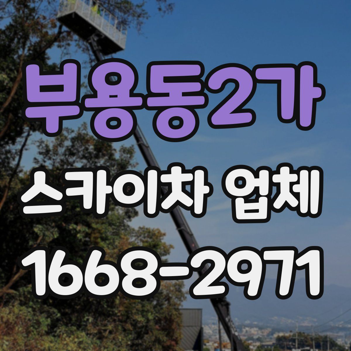 부용동2가 스카이차 업체