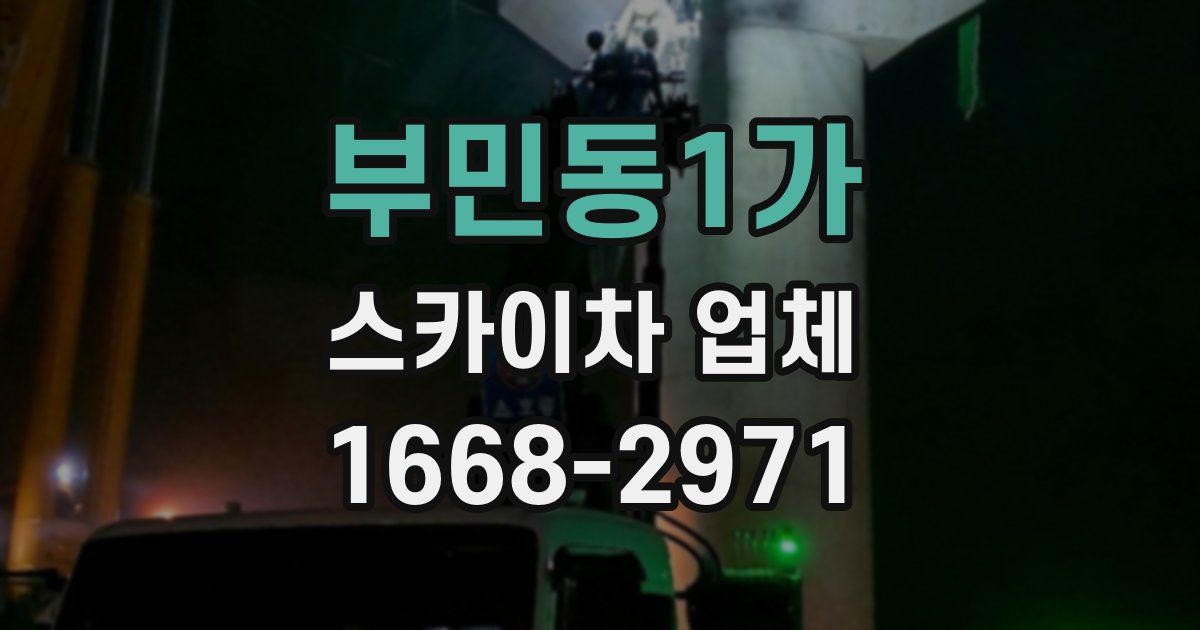 부민동1가 스카이차 업체
