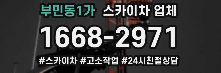 부민동1가 스카이차 업체