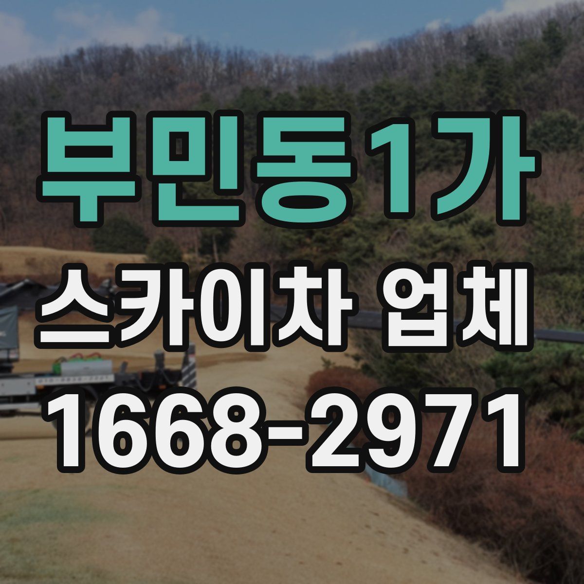 부민동1가 스카이차 업체