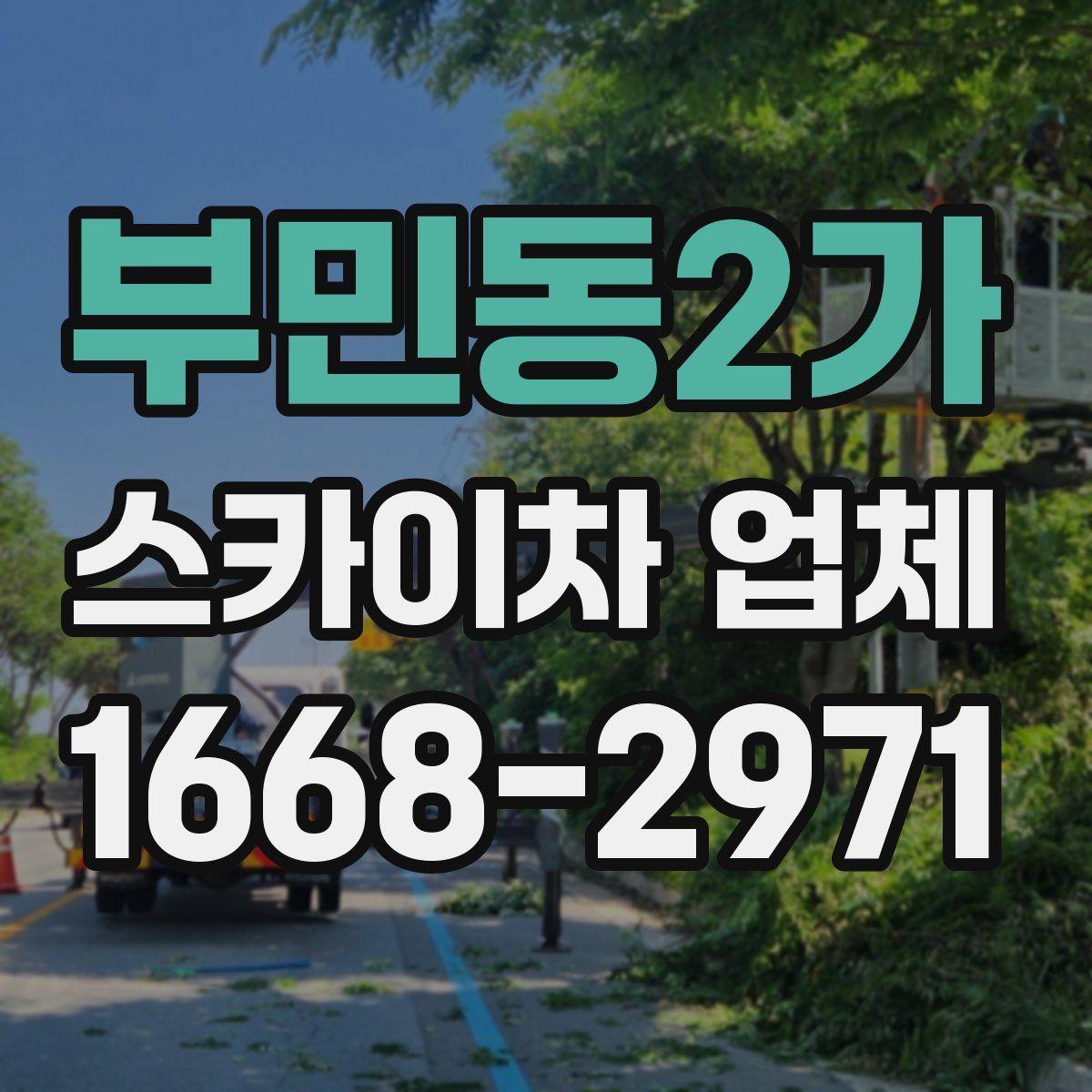 부민동2가 스카이차 업체