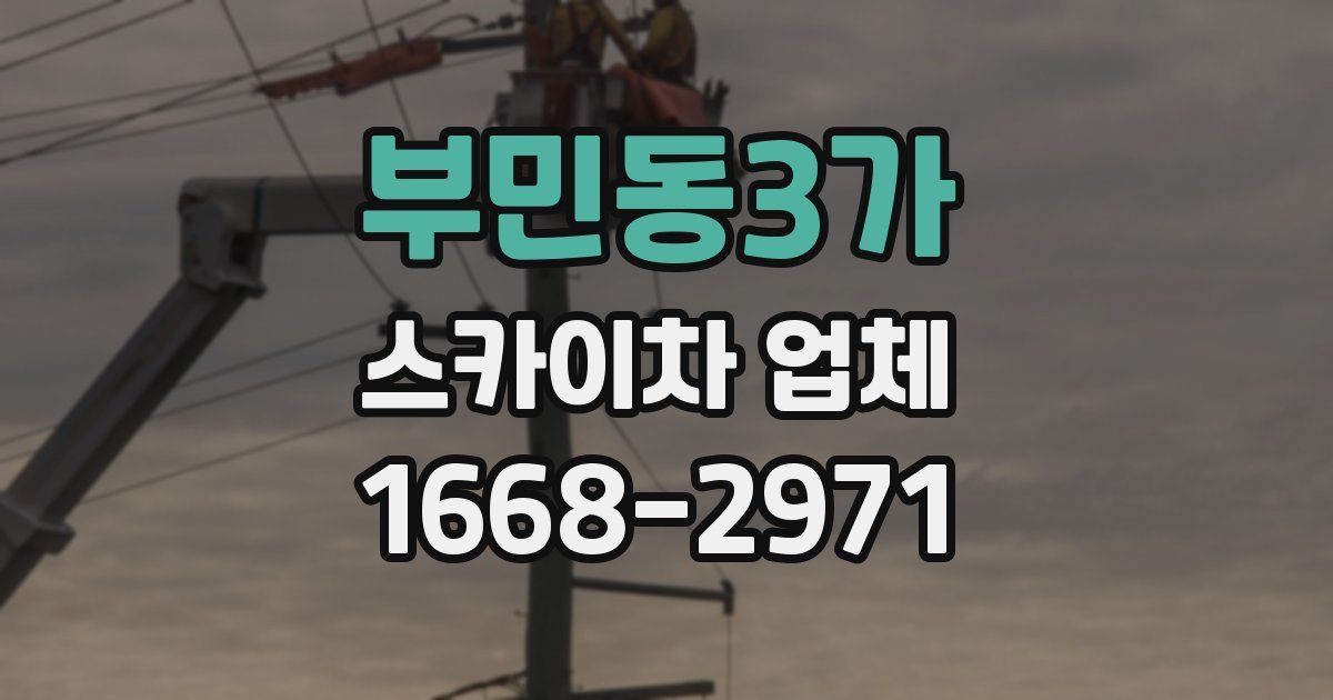 부민동3가 스카이차 업체