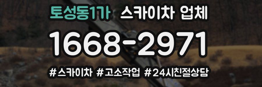 토성동1가 스카이차 업체