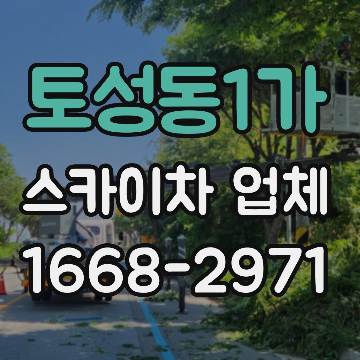 토성동1가 스카이차 업체