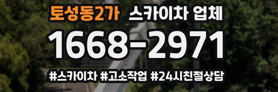 토성동2가 스카이차 업체