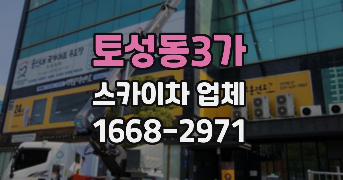 토성동3가 스카이차 업체