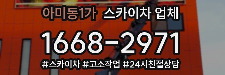 아미동1가 스카이차 업체