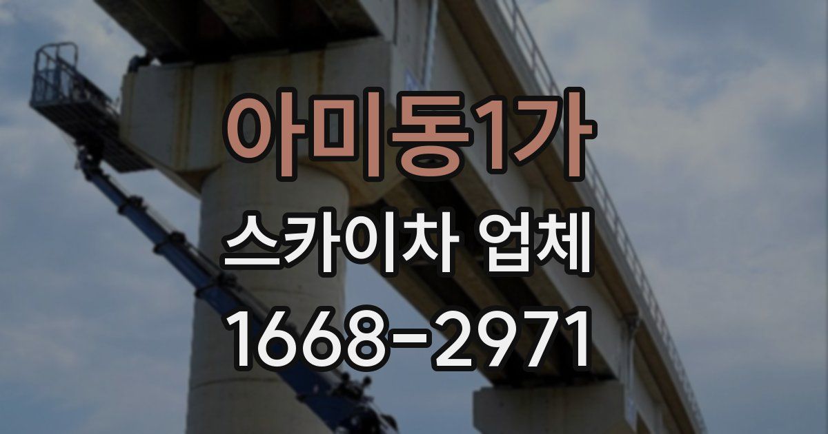 아미동1가 스카이차 업체