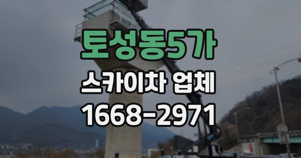 토성동5가 스카이차 업체