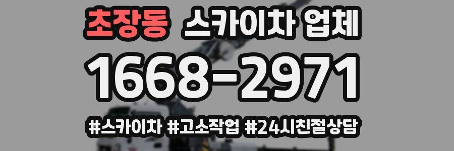 초장동 스카이차 업체